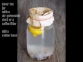 Video - how to make waterkefir